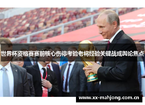 世界杯资格赛赛前核心伤停考验老将经验关键战成舆论焦点